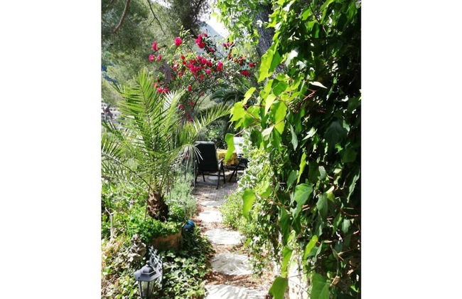 Tuinappartement - Castel D'incze - Foto 10