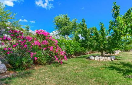 Villa My peace - Foto 31