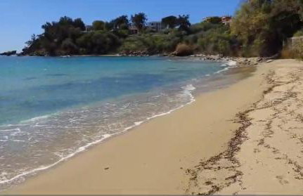 Olivia -Ελιά - Foto 38