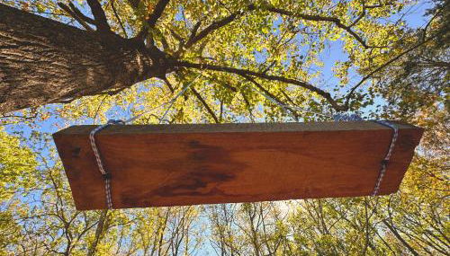 Cabin on 17 acres by National Forest - Foto 2