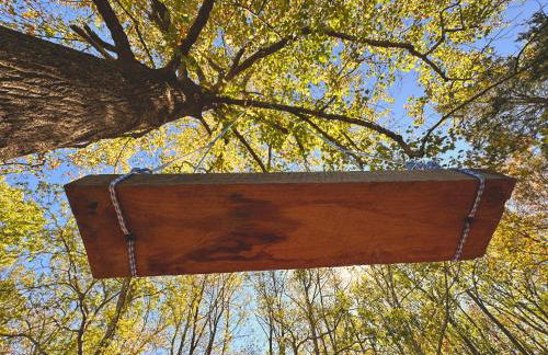 Cabin on 17 acres by National Forest - Foto 2