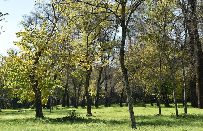 Finca La vega - Foto 69