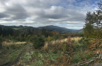 Apartamenty Carpe Diem - Photo 42