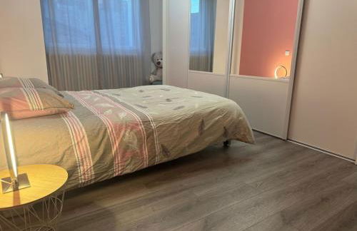 Appartement le Gibus - Foto 12