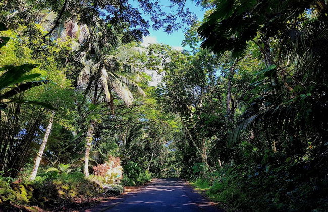 Aloha Ohia Hale 1 Bedroom Home by RedAwning - Foto 23