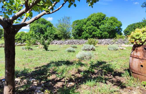 The Old Stone House Dida Jure - Foto 49