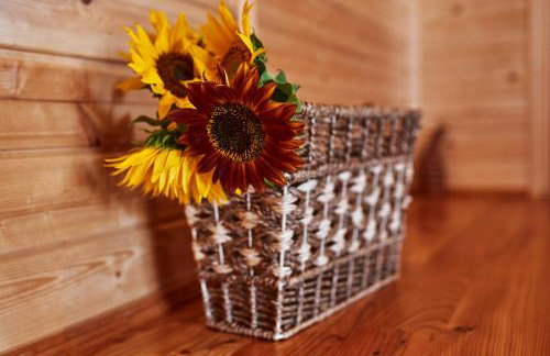 Domki całoroczne DŁUGOSZÓWKA pod Rzeszowem, Jacuzzi-Sauna-Basen-Alpaki - Foto 54