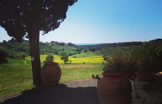 Fattoria Podere i Luoghi - Foto 73