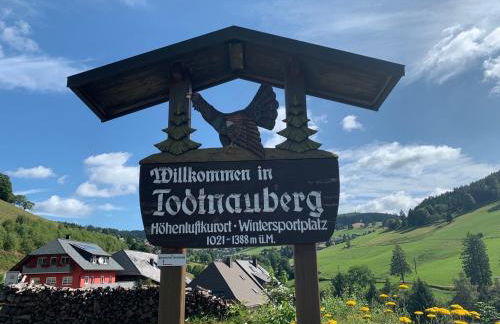 Haus am Sonnenberg,Todtnauberg, Ferienwohnung 105, direkt am Skilift-Skipiste, Nähe Feldberg - Foto 26