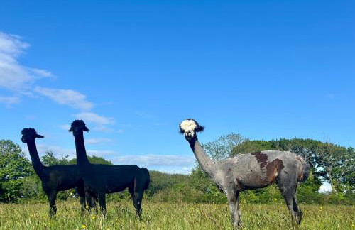 Pheasants Nook - Foto 7