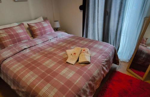 Διαμέρισμα παραποτάμια Νάουσα - Foto 9