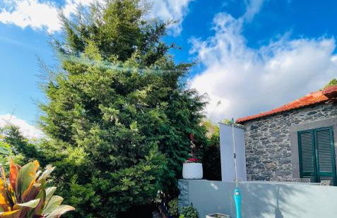 The Farm House.23 - Foto 40