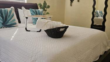Palmera House in Tampa with Hot Tub 10 minutes from Airport & Busch Gardens - Foto 2