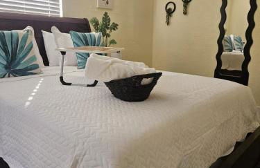 Palmera House in Tampa with Hot Tub 10 minutes from Airport & Busch Gardens - Foto 2