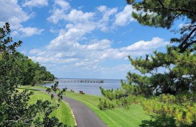 Starlight Serenity - Foto 8