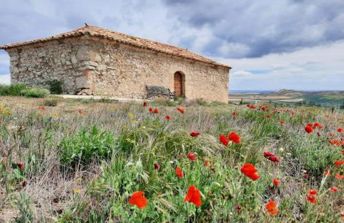 Amistad y convivencia 2 - Foto 20