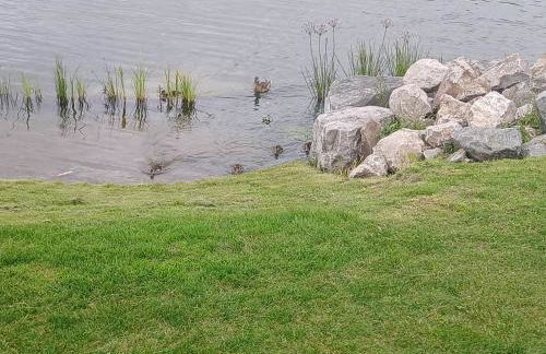 3-Bed Caravan - Haven Lakeland Leisure Park - Foto 19