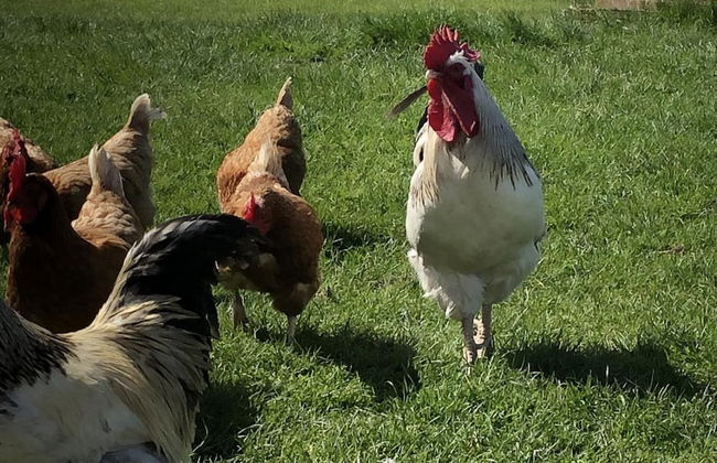 Captivating 2-bed Static Caravan on Private Land - Photo 16