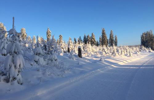 Fachwerkliebe Ornes 1 - Foto 36