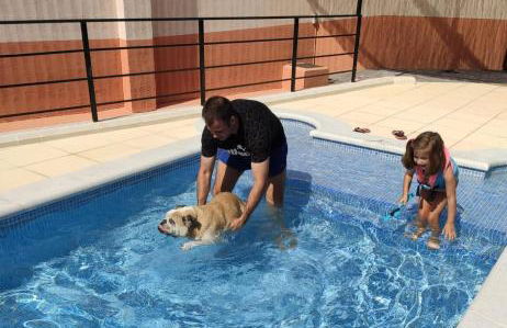 Casas Rurales de Vicorto - Foto 40