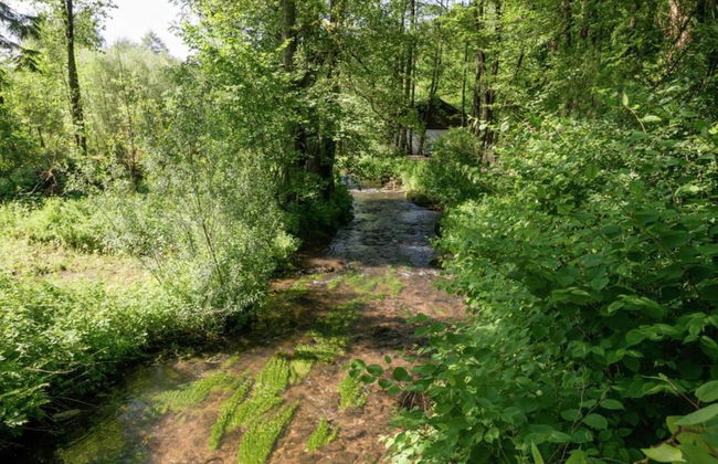 Cottage in Baugnez With Sauna & Forest Nearby - Foto 30