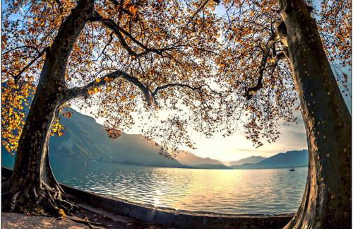 L Édelweiss et sa piscine - Foto 42