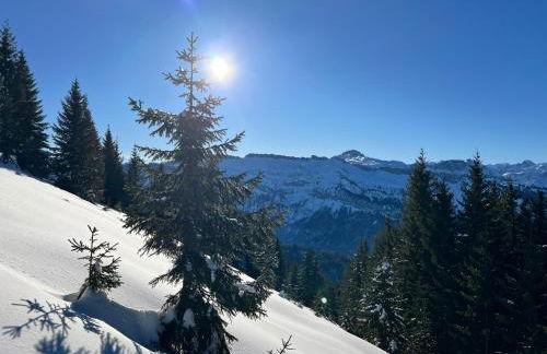 Edelschwarz Allgäu - Foto 12