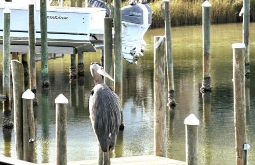 Emerald Gem Beach Svc Included - Foto 67