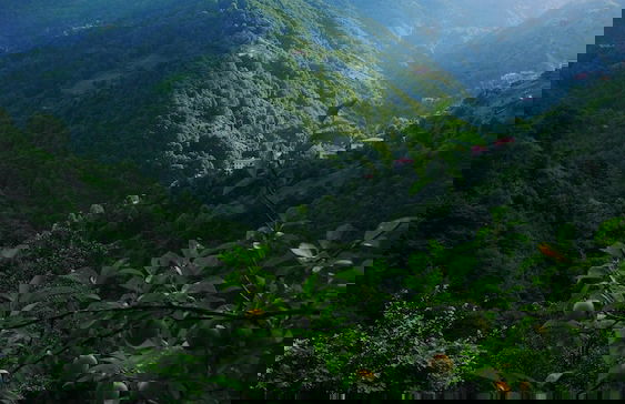 Begi Apart Bungalov - Foto 15