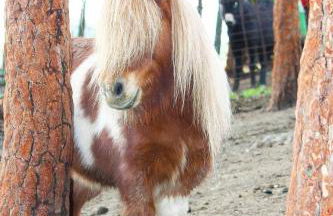 Apartamentos Paraje San Gines - Foto 40