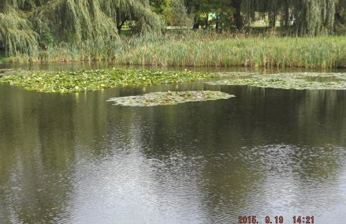 Ferienwohnung Borchert - Foto 60