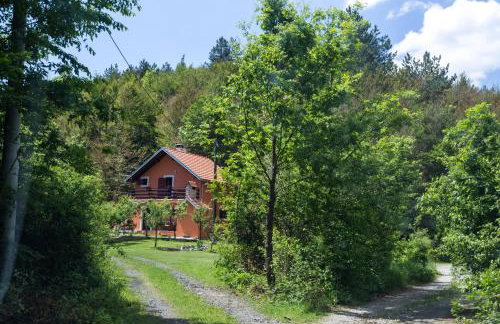 Forest Escape - Foto 23