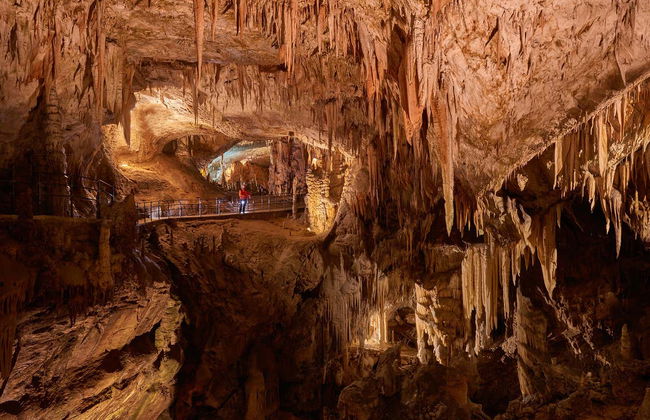 Postojna Cave & Predjama Castle Day Trip - Foto 2