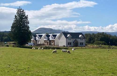 Fiadh Ruadh-Uk40008 - Foto 26