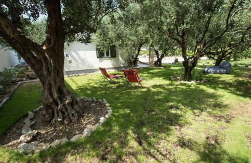Lodge JoMi - Photo 23