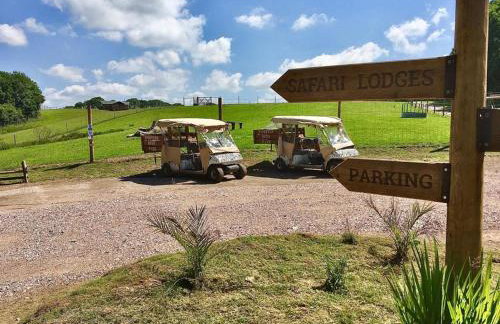 Luxury Safari Lodge-Sleeps 4 6-Deer Park-Dogs Ok - Foto 28