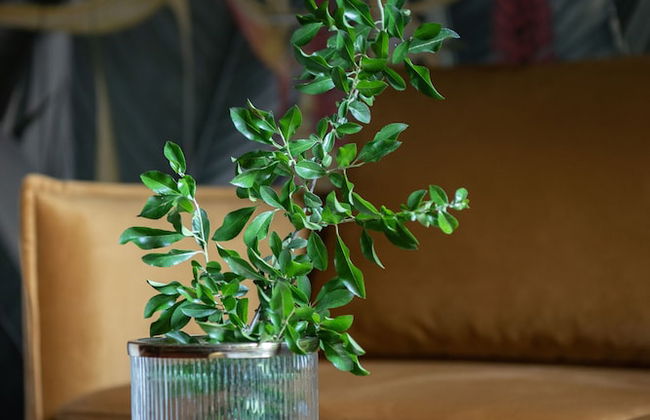 KrakowHomes - Photo 37