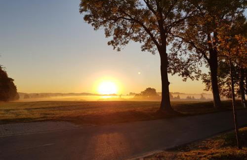 Ferienwohnung Mönchgut 1 mit Wintergarten und Terrasse - Foto 33