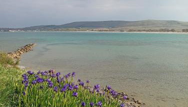 Villa Lagosta - Foto 4