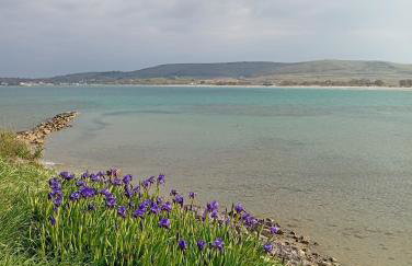 Villa Lagosta - Foto 4