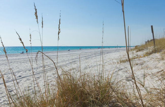 219 Palmetto Pl 1 - Tropical Paradise - Foto 30