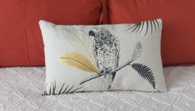 Intello - Studio confort, espace café, au coeur de Nogent - Photo 5