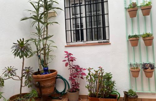 Enmitatiko Alcázar Viejo - Foto 26