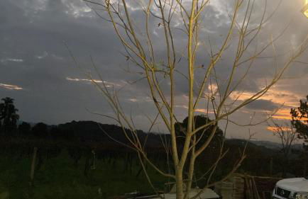 Cabana nas Nuvens - Foto 39