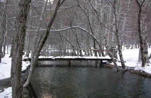 Huge 3 Bedrooms Balcony Flat for 8 pax - Foto 15