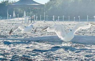 Sunset INN - Foto 22