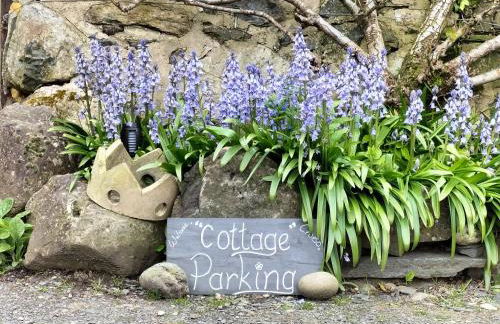 Glan Y Morfa Bach The Stone Cottage - Foto 12