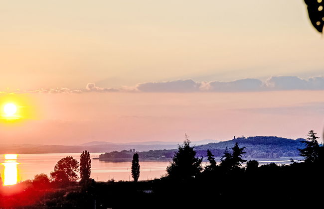 Trasimeno link - Foto 34