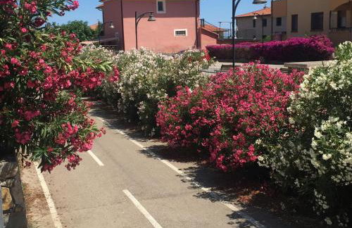 Sun, beach and bike - Foto 15