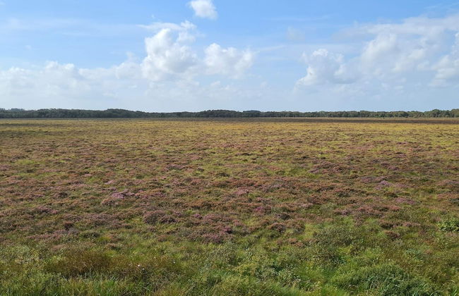 Rustic Farmhouse Getaway - By Traum Ferienwohnungen - Foto 27